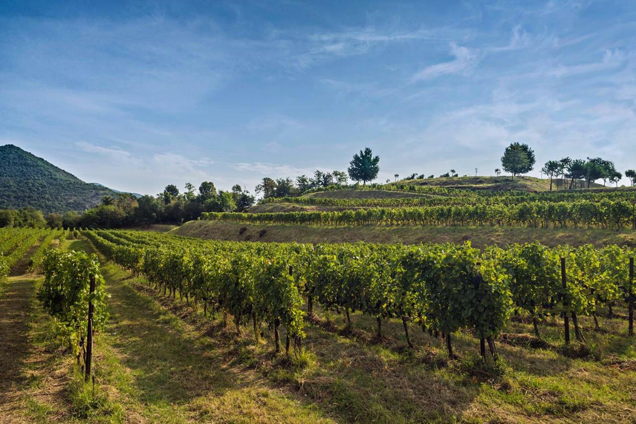 Pilzone Casa Del Nespolo Bed & Breakfast エクステリア 写真