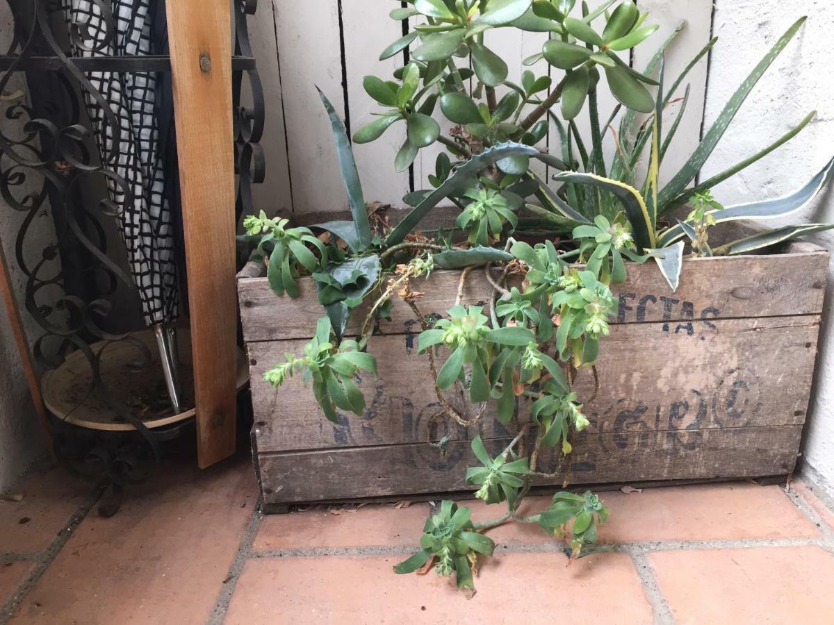 Pilzone Casa Del Nespolo Bed & Breakfast エクステリア 写真