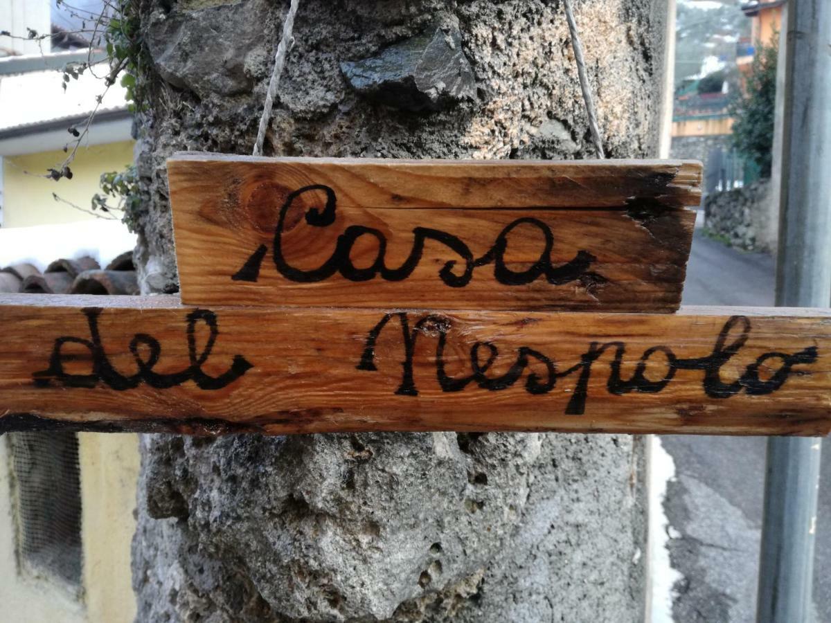 Pilzone Casa Del Nespolo Bed & Breakfast エクステリア 写真