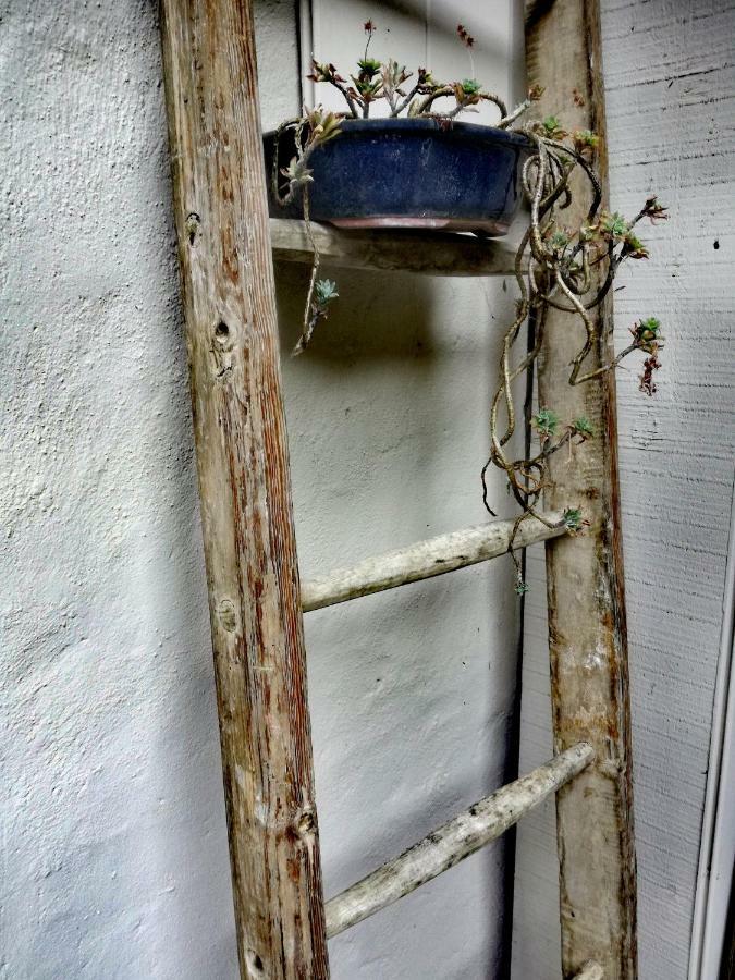 Pilzone Casa Del Nespolo Bed & Breakfast エクステリア 写真